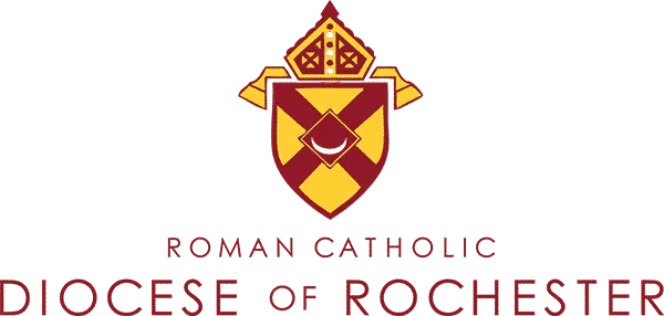diocese rochester hmis